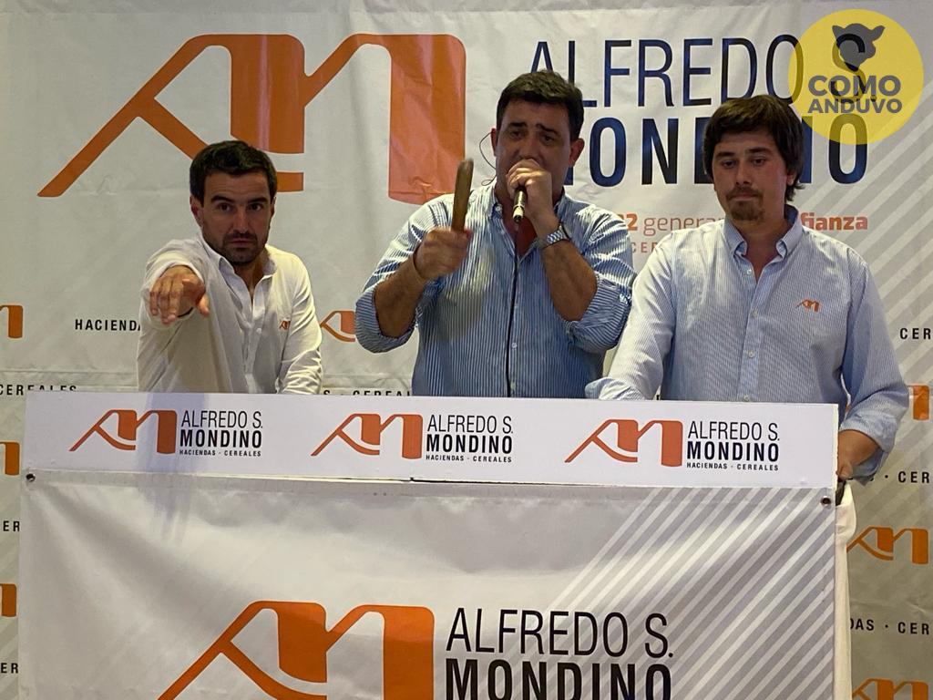 Alfredo S. Mondino